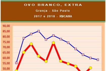 Ano tem sido bem difícil para os produtores de ovos