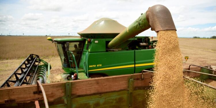 Safra de soja 2020/21 deve saltar 69% no RS; avanço do arroz será limitado