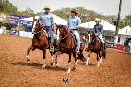 43ª Expo Nacional Mangalarga acontece de 21 a 31 de outubro