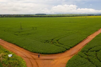 Tambores de guerra no Leste europeu nos preços dos ativos de risco e das commodities