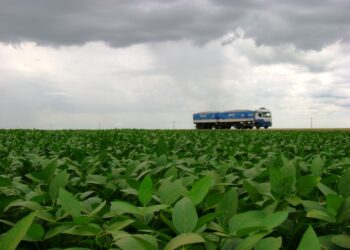 Colheita da soja alcança 60%da área em Mato Grosso