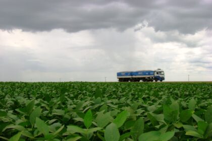 Colheita da soja alcança 60%da área em Mato Grosso