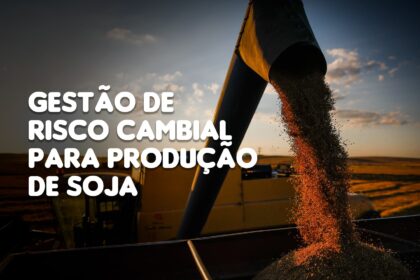 A importância da gestão de risco cambial para os produtores de soja no Brasil