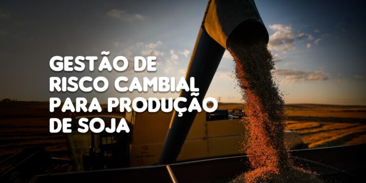 A importância da gestão de risco cambial para os produtores de soja no Brasil