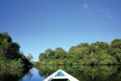 Governo de MT apoia pesquisas de impacto direto na cadeia produtiva da Amazônia Legal