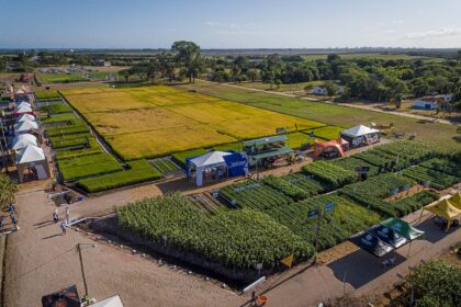 Definida programação da Abertura Oficial da Colheita do Arroz