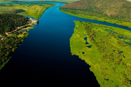 Projeto de Lei pode liberar plantio na região do Pantanal em Mato Grosso