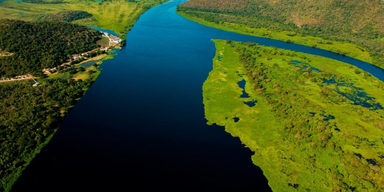 Projeto de Lei pode liberar plantio na região do Pantanal em Mato Grosso