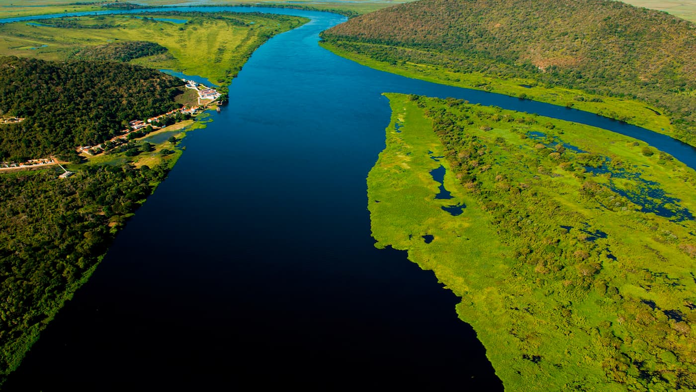 Projeto de Lei pode liberar plantio na região do Pantanal em Mato Grosso