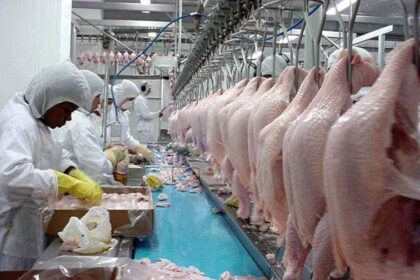 Carne De Frango Bate Recorde De Exportacoes E Gera Receita