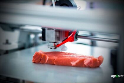 Cientistas japoneses criam carne Wagyu usando bioimpressora 3D