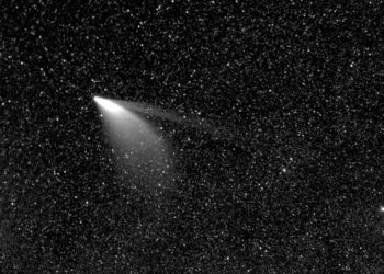 Cometa Neowise poderá ser visto a olho nu este mês, aproveite!