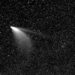 Cometa Neowise será visível no Brasil nestes próximos dias