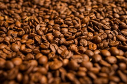 Café: produção deve aumentar 6,7% na safra 2021/2022 em Goiás, confira: