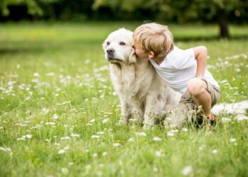 Veja 7 benefícios da convivência de pets e crianças