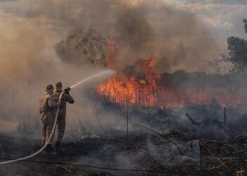 Incêndios florestais: União homologa situação de emergência em MT