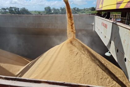 Exportações de arroz em agosto alcançam 268 mil ton, diz Abiarroz