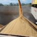 Brasil teve saldo em receita nas exportações de arroz em 2021, diz Abiarroz