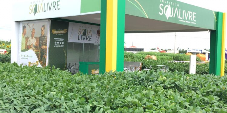 Instituto Soja Livre apresenta variedades convencionais em eventos em Mato Grosso