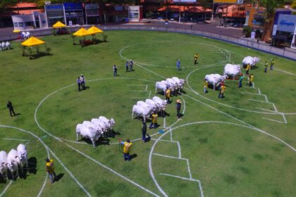 ACNB confirma a realização da Expoinel 2021 em Uberaba/MG