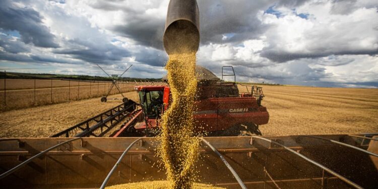 Estado de Goiás deve produzir quase 28 milhões de toneladas de grãos na safra 2020/2021