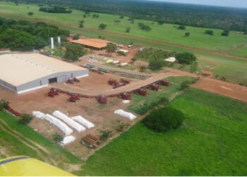 Justiça aceita pedido preparatório de recuperação judicial de produtores rurais com dívida de R$ 40 milhões