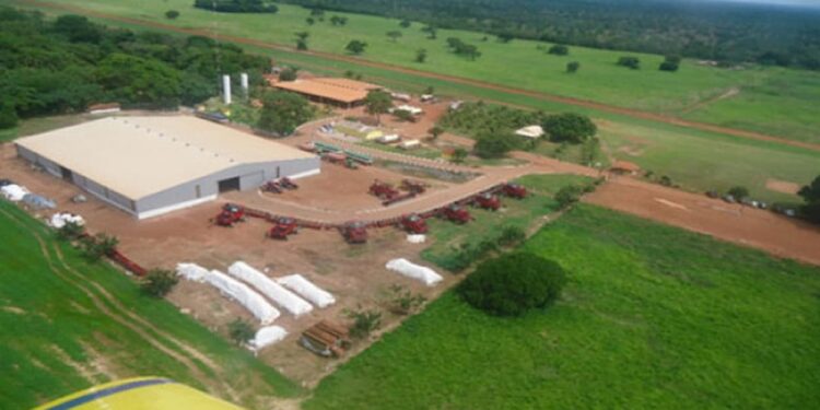 Justiça aceita pedido preparatório de recuperação judicial de produtores rurais com dívida de R$ 40 milhões