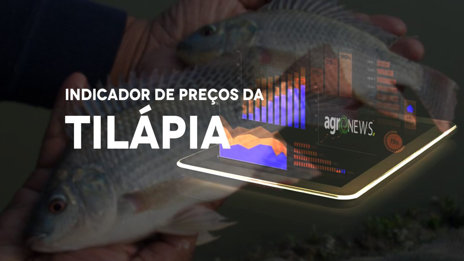 Preços da Tilápia passam a fazer parte dos indicadores do CEPEA