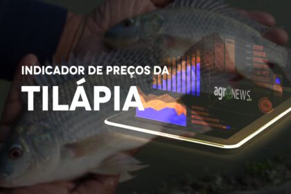 Preços da Tilápia passam a fazer parte dos indicadores do CEPEA