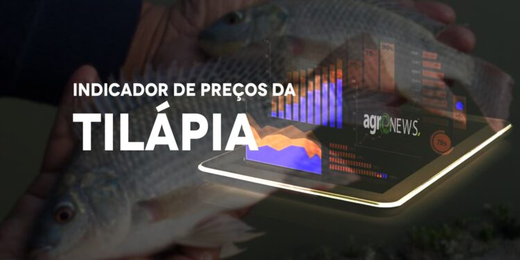 Preços da Tilápia passam a fazer parte dos indicadores do CEPEA