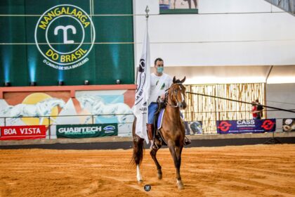 Mangalarga Do Brasil Pos 1 Baixa