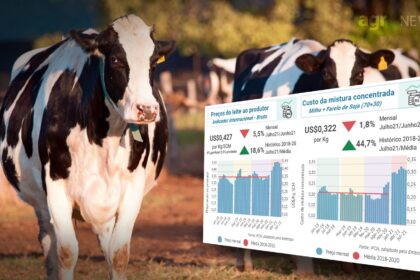 Margem do leite sobre a mistura concentrada registra queda no mercado internacional