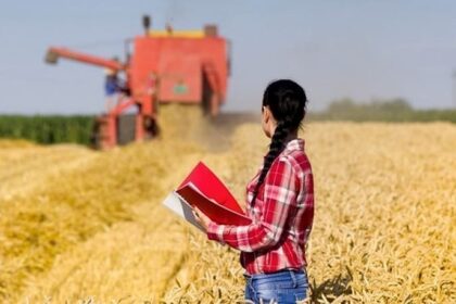 Estudo da CNC mostra que 8 dos 10 municípios que mais contrataram são ligados ao agronegócio