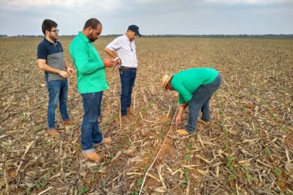 Empresas líderes em tecnologia firmam parceria voltada para o campo