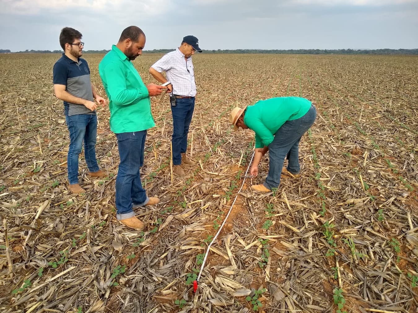 Empresas líderes em tecnologia firmam parceria voltada para o campo