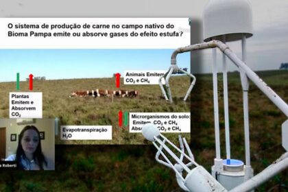 Pesquisa revela que o Pampa Gaúcho absorve gases do efeito estufa (GEE) e pode ser lucrativo