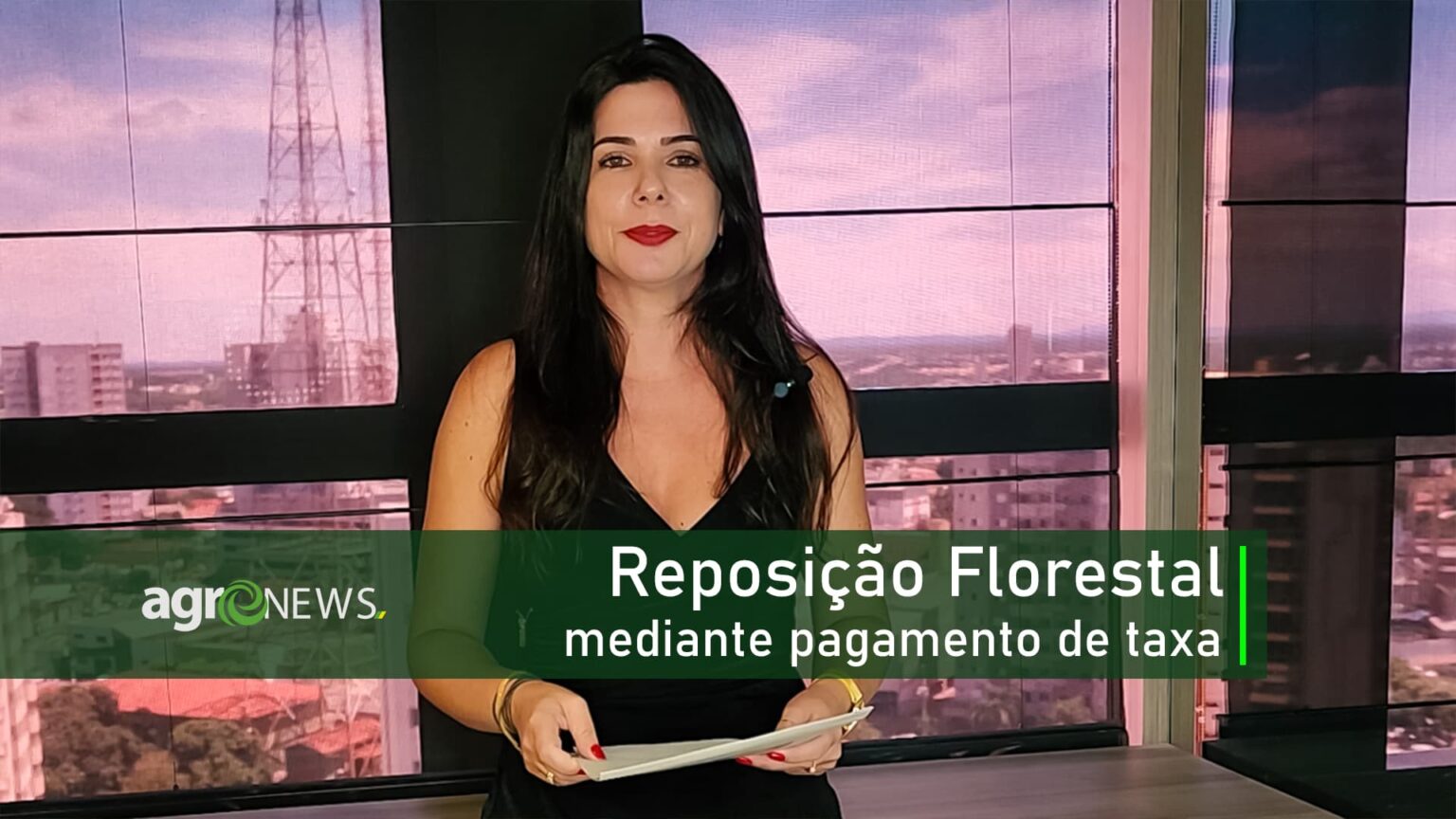 Reposição Florestal mediante pagamento de taxa? Saiba como