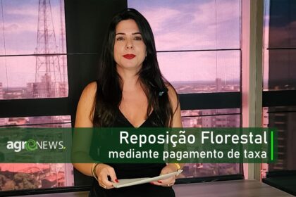 Reposição Florestal mediante pagamento de taxa? Saiba como