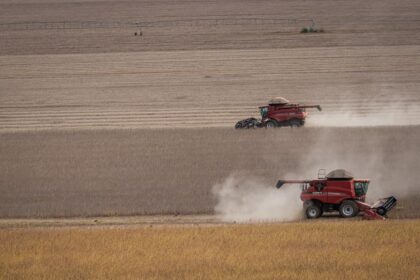 Em Goiás, VBP da Agropecuária deve ser de R$ 95,8 bilhões em 2021