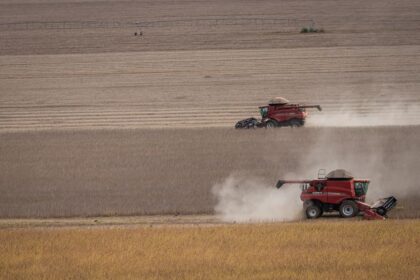 Agronegócio é responsável por 81% das exportações goianas de janeiro a junho deste ano