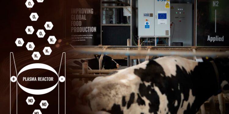 Startup desenvolve reator de plasma para reter metano do esterco de vacas