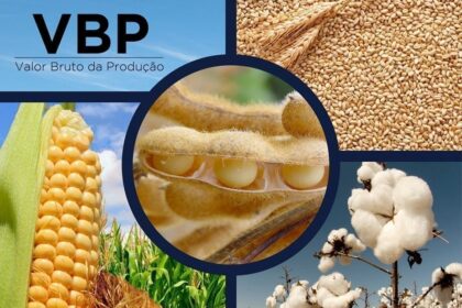 VBP é estimado em R$ 689,97 bilhões para o ano de 2020