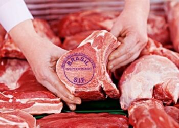 Brasil suspende compras de carne suína da Alemanha após casos de peste