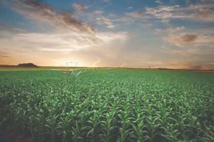 Dia mundial da água celebra uso cada vez mais sustentável na agricultura