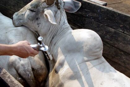 Mesmo com pandemia, Paraná se mantém na trilha do novo status sanitário