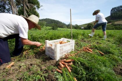 Comissão aprova PL que inclui acesso a novas tecnologias para Agricultura Familiar