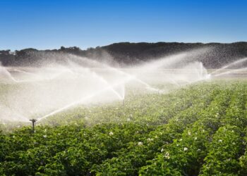 Ação Pública exige EIA/RIMA para todo e qualquer tipo de irrigação