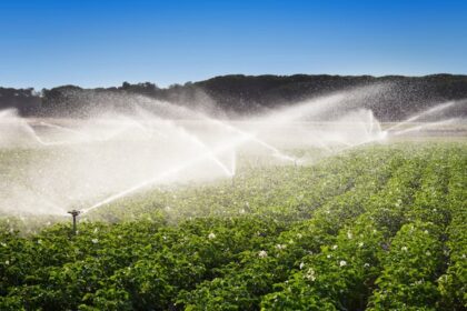 Ação Pública exige EIA/RIMA para todo e qualquer tipo de irrigação