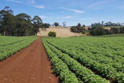 Nova lei do agro facilita acesso do setor aos investimentos do exterior