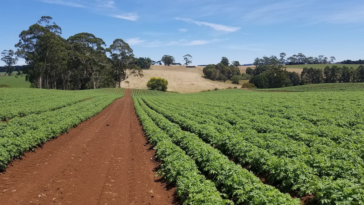 Nova lei do agro facilita acesso do setor aos investimentos do exterior